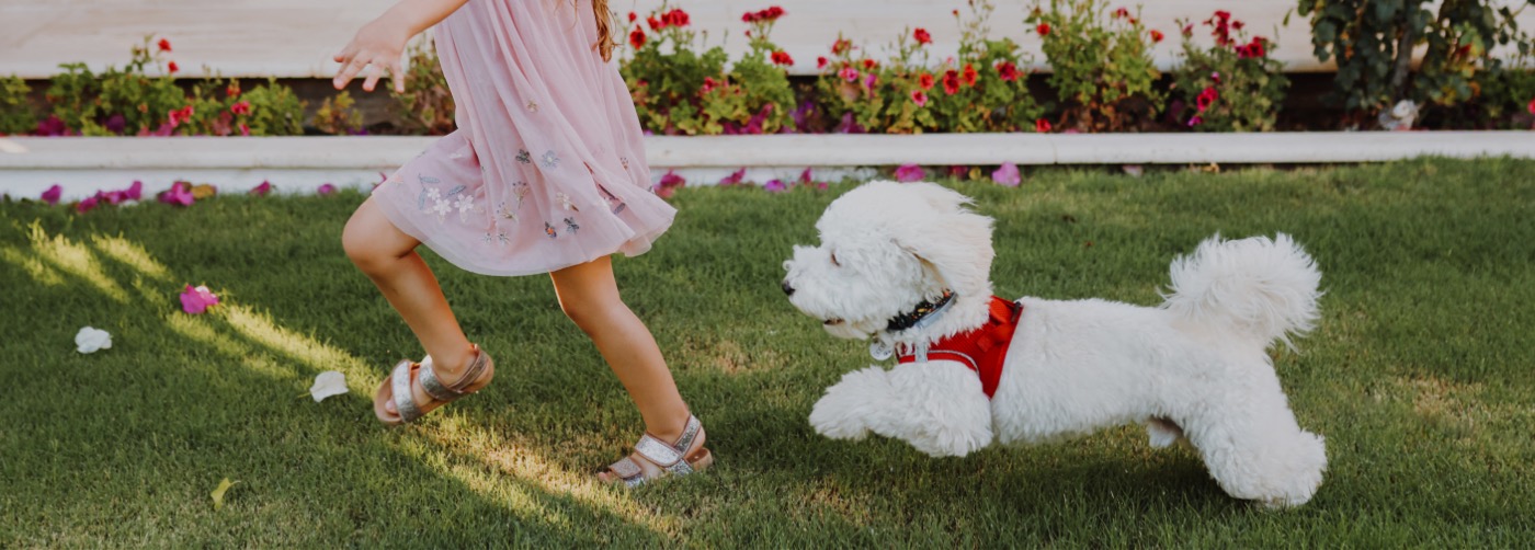 DogWatch Hidden Fences of Arizona, Gilbert, Arizona | Outdoor Hidden Dog Fences Slider Image